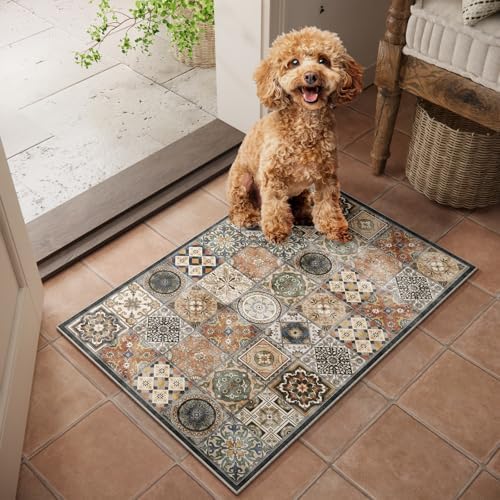 Washable Small Area Rugs for Entryway: 2x3 Door Mat Indoor Entrance by NoiFamo