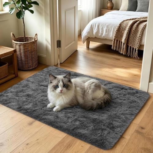3x5 Dark Grey Fluffy Soft Area Rug Non-Slip for Bedroom Entryway - Image 2