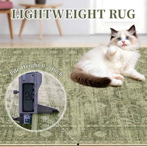 Sage Green 8x10 Living Room Rug, Non Slip Neutral Area Rug for Bedroom - Image 7