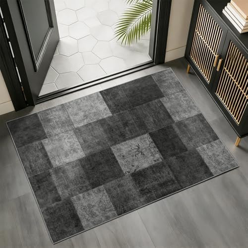 LIANLAM Silver Infused Washable Area Rug for EntryWay(2x3,Black) by LIANLAM