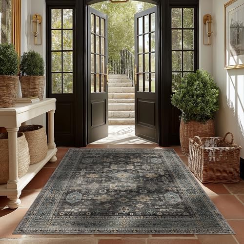 Ruaruarug Washable Area Rug 4×6 for Living Room, Ultra Soft, Silver - Image 7