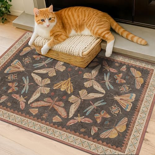 Vintage 2x3 Entry Way Rugs Indoor, Stain Resistant Washable Kitchen Rugs Non Slip, Small Soft Carpet for Bathroom, Powder Room, Insect Boho Indoor Décor, Low Pile & Stain Resistant (Orange and Brown) by HazoHaus
