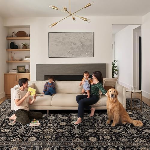 Ruaruarug Washable Area Rug 9×12 for Living Room, Ultra Soft, Black Gold - Image 4