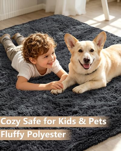 Smiry Area Rugs for Living Room Bedroom 3x5 ft, Fluffy Washable Carpet - Image 3