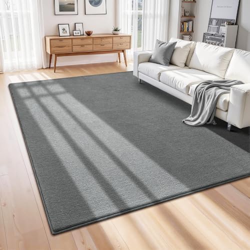 ISEAU 6x9 Soft Area Rug for Living Room, Washable and Non-Slip, Grey - Image 4