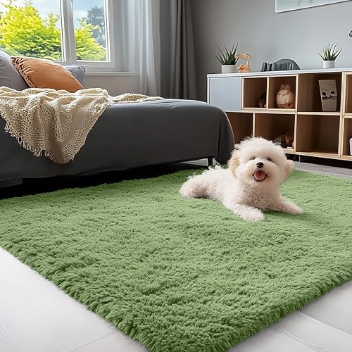 OLANLY 3x5 Machine Washable Small Bedside Rug, Soft Fluffy Shaggy Rugs for Living Room, Bedroom, Indoor Floor Carpet for Kids Girls and Boys, Preppy Dorms, Nursery, Home Decor Aesthetic, Green by OLANLY