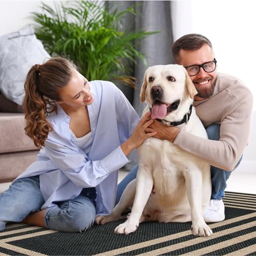 Lahome Modern 3x5 Outdoor Rug,Black Indoor Outdoor Front Porch Rug Non Slip - Image 6