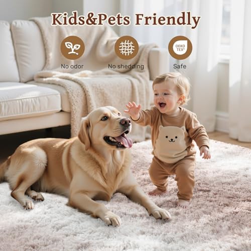 Area Rugs for Living Room 6x9 Feet, Soft Fluffy Shagg Plush Bedroom Rug Non-Slip,Large Carpet for Nursery Kids Dorm Home Decor Gradient Beige - Image 6