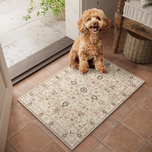 Washable Small Area Rugs for Entryway: 2x3 Door Mat Indoor Entrance by NoiFamo