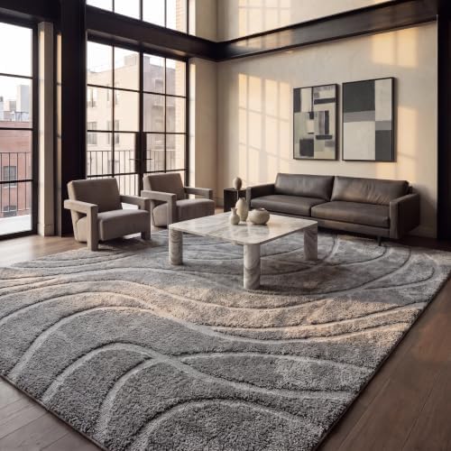 SAFAVIEH Florida Shag Rug 9'x12', Soft Plush Modern Grey SG471-8080 by Unknown