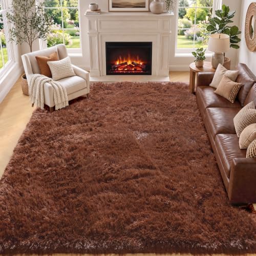 ONASAR Brown 6x9 Area Rugs for Living Room Bedroom, Large Fluffy Bedside Throw Rug, Soft Plush Shaggy Fuzzy Floor Carpet for Nursery Kids Girls Boys Teen Dorm Home Office Decor Aesthetic by ONASAR
