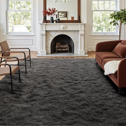 4x6 Ft Shag Rugs for Bedroom Living Room, Ultra Soft Fluffy Furry Area Rugs for Indoor Floor, Aesthetic Carpet for Kids Home Decor (Grey) by Cuzwlovita