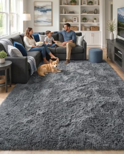 OLANLY 5x7 Machine Washable Large Area Rugs for Living Room, Bedroom, Soft Fluffy Shaggy Bedside Rug, Indoor Floor Carpet for Kids Girls and Boys, Dorms, Nursery, Home Decor Aesthetic, Grey by OLANLY
