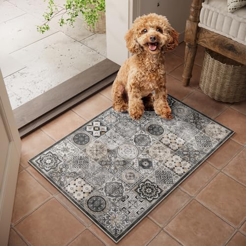 Washable Small Area Rugs for Entryway: 2x3 Door Mat Indoor Entrance by NoiFamo