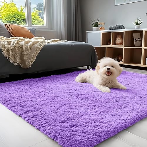 OLANLY 3x5 Machine Washable Small Bedside Rug, Soft Fluffy Shaggy Rugs for Living Room, Bedroom, Indoor Floor Carpet for Kids Girls and Boys, Preppy Dorms, Nursery, Home Decor Aesthetic, Purple by OLANLY