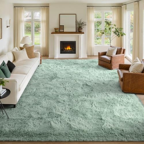 FinRèc Home 9x12 Non-Slip Fluffy Area Rugs for Living Room (Light Green) by FinRe%CC%80cHome