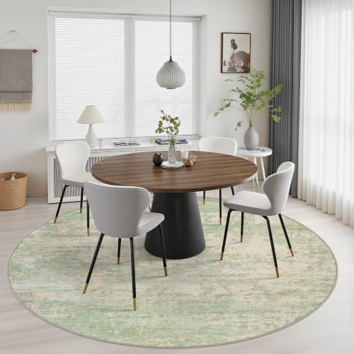 Round Area Rug Living Room: 6 ft Modern Washable Indoor Carpet - Image 4