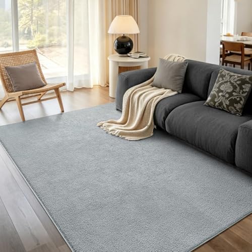 6x9 Large Light Grey Solid Area Rug Washable Non-Slip for Living Room by Unknown