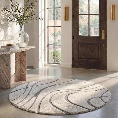 SAFAVIEH Florida Shag Collection Area Rug - 6' x 8' Oval, Cream & Grey, Non-Shedding & Easy Cleaning, Plush Thick Pile, Ideal for Living Room, Bedroom, Dining Space (SG471-1180) by Unknown