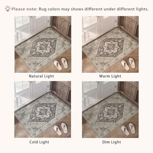 Tangsoo 3x5 Washable Area Rugs, Farmhouse Non Slip Accent Rugs for Entryway - Image 3
