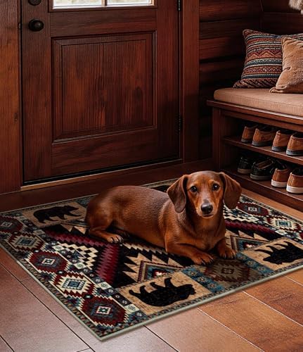 YIHOUSE Washable Western Cabin Area Rug 2x3 Entryway - Image 5