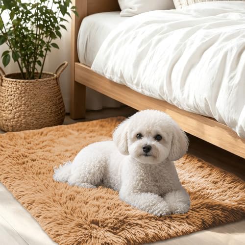 Smiry Area Rugs for Living Room Bedroom 2x3 ft, Fluffy Washable Carpet by Smiry