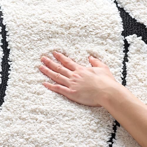 SAFAVIEH Florida Shag Rug 3'3"x5'3", Soft Plush Ivory & Black SG471-1290 by Unknown