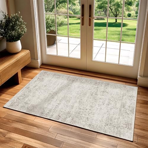 entryway Rug 2×3 Washable Kitchen Small Rugs by Unknown