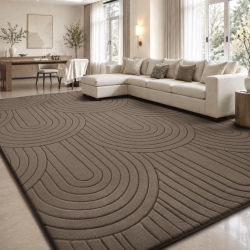Sour Lemon 8x10 Area Rugs for Living Room Bedroom, Large Carpet Rug Choc by SourLemon