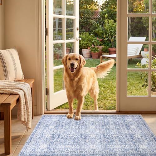 Sasttie 2x3 Area Rugs, Ultra-Soft Washable Rug for Living Room, Light Blue - Image 3