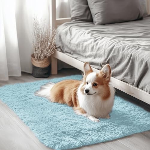 OLANLY 2x3 Machine Washable Small Bedside Rug, Soft Fluffy Shaggy Entryway Throw Rugs for Bedroom, Living Room, Indoor Floor Carpet for Kids Girls and Boys, Home Decor Aesthetic, Light Blue by OLANLY