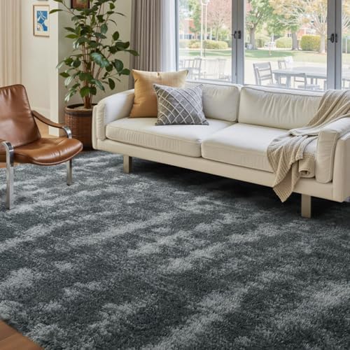 FinRèc Home 4x6 Non-Slip Fluffy Area Rugs for Living Room (Waved Black) by FinRe%CC%80cHome