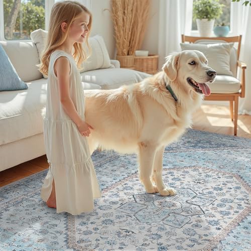DCX 4x6 Washable Area Rug for Living Room, Non Slip Low Pile Rug, Blue - Image 4