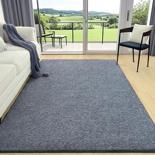 AROGAN 4x6 Area Rugs for Living Room Non Slip Dorm Bedroom Rug, Blue by AROGANAREARUG