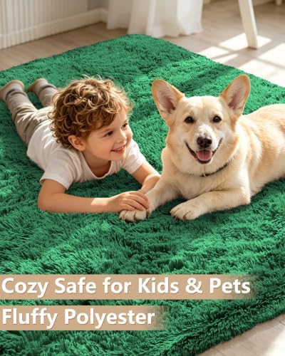 Smiry Round Area Rugs for Living Room Bedroom 4x4 ft, Fluffy Carpet - Image 3