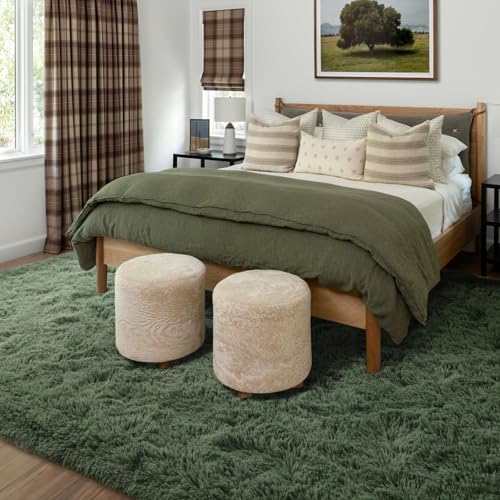 5x7 Ft Shag Green Area Rug for Bedroom Living Room, Ultra Soft Fluffy Furry Rugs for Indoor Floor, Aesthetic Carpet for Kids Home Decor - Image 2