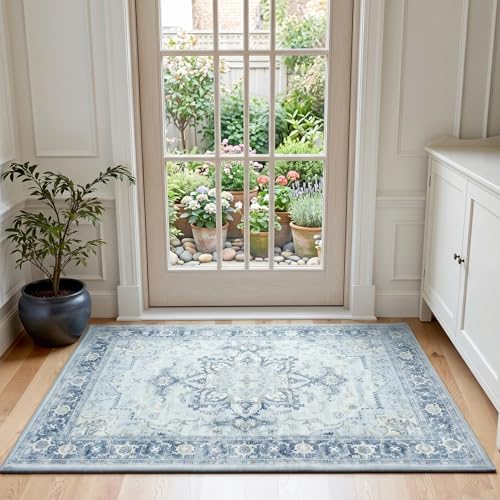 Lofus 2x3 Washable Rug for Entryway Bathroom, Light Blue Vintage Door Mats by Lofus