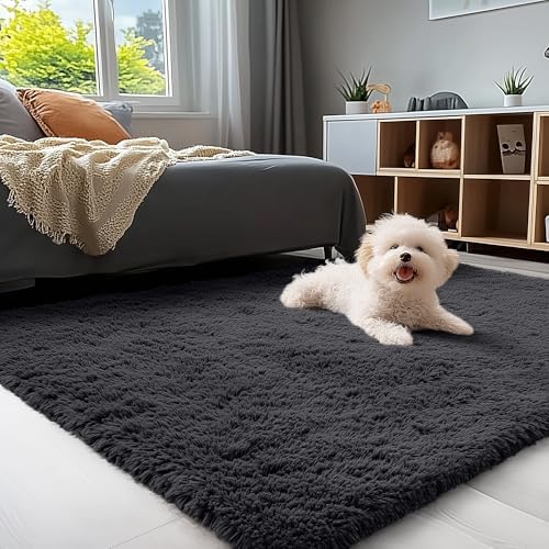 OLANLY 4x5 Machine Washable Accent Rug, Soft Fluffy Shaggy Area Rug for Bedroom, Living Room, Indoor Floor Carpet for Kids, Nursery, Home Decor, Black by OLANLY