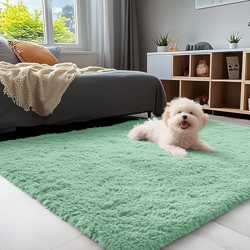 OLANLY 3x5 Machine Washable Small Bedside Rug, Soft Fluffy Shaggy Rugs for Living Room, Bedroom, Indoor Floor Carpet for Kids Girls and Boys, Preppy Dorms, Nursery, Home Decor Aesthetic, Mint Green by OLANLY