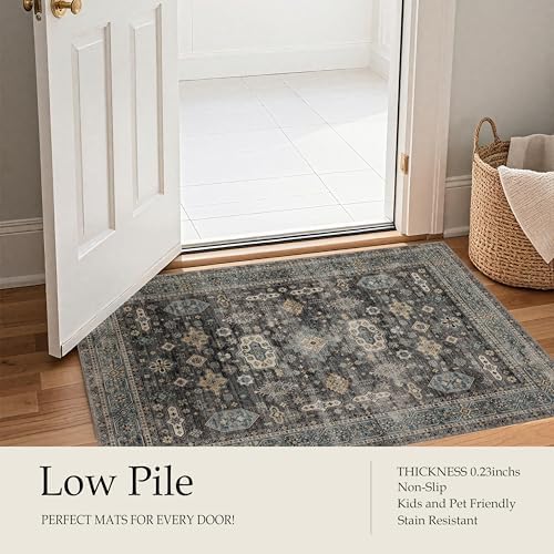 Ruaruarug Washable Area Rug 8×10 for Living Room, Ultra Soft, Silver - Image 6