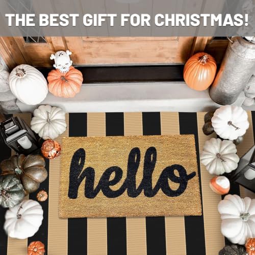 IOHOUZE 3x5 Striped Area Rug, Washable Front Porch Doormat, Black/Tan - Image 2