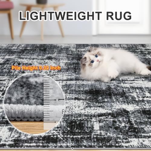 PLHXFR 10x12 Area Rug Living Room: Modern Abstract Washable Carpet Black - Image 6