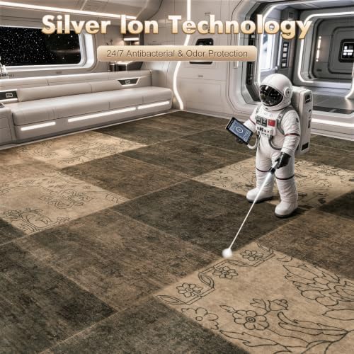 LIANLAM Silver Infused Washable Area Rug for Living Room(6x9,Brown) - Image 2