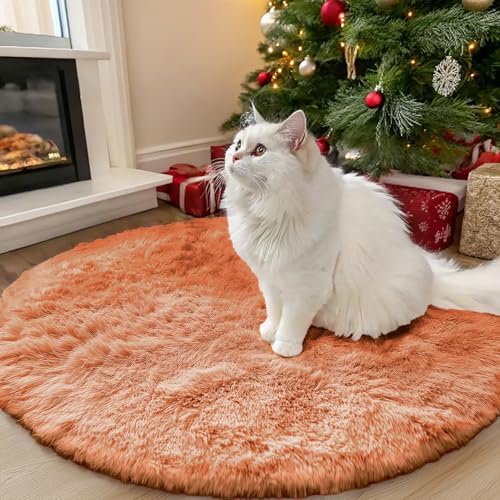 OLANLY Muted Orange Round Rugs for Bedroom - Machine Washable, 3 ft Circle Area Rugs for Living Room, Soft and Fluffy Shaggy Carpet for Teen Girl and Boys, Nursery Rooms, Dorms, Home Decor Aesthetic by OLANLY