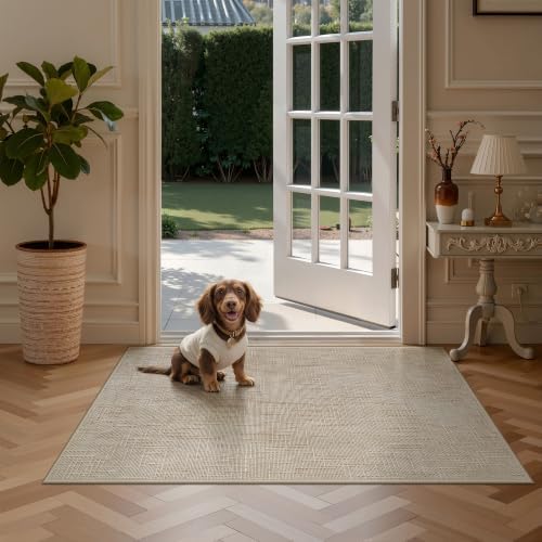 Valenrug 3x5 Entryway Rug, High-Low Pile Washable Rug for Bedroom, Beige by Valenrug
