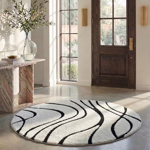 SAFAVIEH Florida Shag Collection Area Rug - 11' Round, Ivory & Black, Non-Shedding & Easy Cleaning, Plush Thick Pile, Ideal for Living Room, Bedroom, Dining Space (SG471-1290) by Unknown