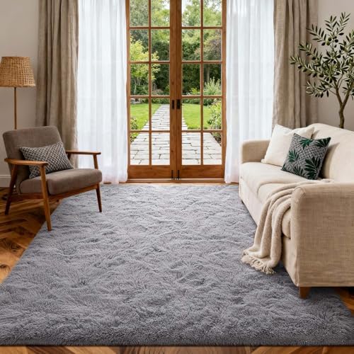 4x6 Ft Shag Rugs for Bedroom Living Room, Ultra Soft Fluffy Furry Area Rugs for Indoor Floor, Aesthetic Carpet for Kids Home Decor (Light Grey) by Cuzwlovita