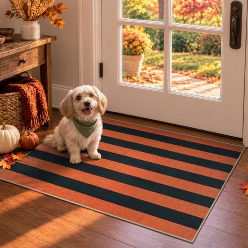 Lahome Striped Fall Door Mat, 2x3 Washable Outdoor Rug, Orange Black - Image 2