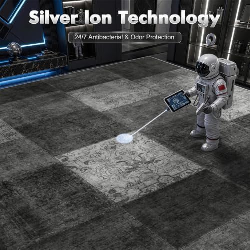 LIANLAM Silver Infused Washable Area Rug for Living Room(6x9,Black) - Image 2