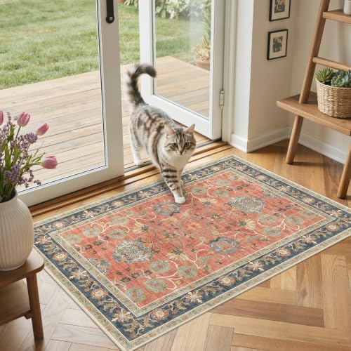 GENIMO Indoor Outdoor Rug, Washable for Patio and Deck, Rust Blue, 3x5 - Image 3
